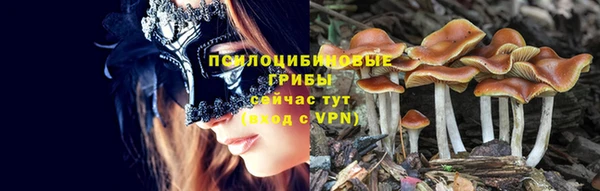 тгк Алзамай