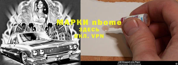тгк Алзамай