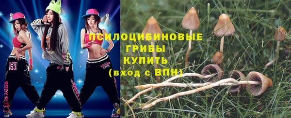 герыч Алексин